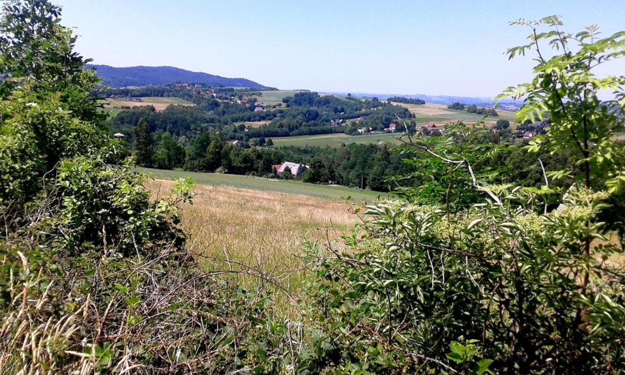 Agroturystyka Zielona Dolinka Stryszow Extérieur photo