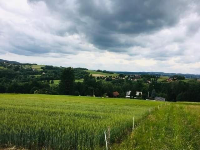 Agroturystyka Zielona Dolinka Stryszow Extérieur photo