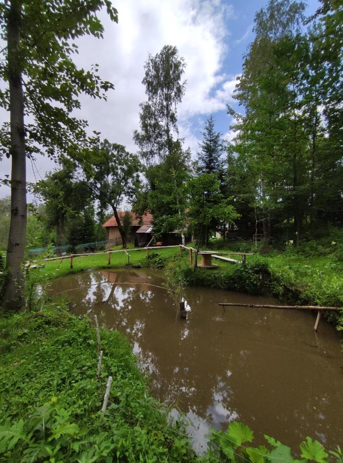 Agroturystyka Zielona Dolinka Stryszow Extérieur photo